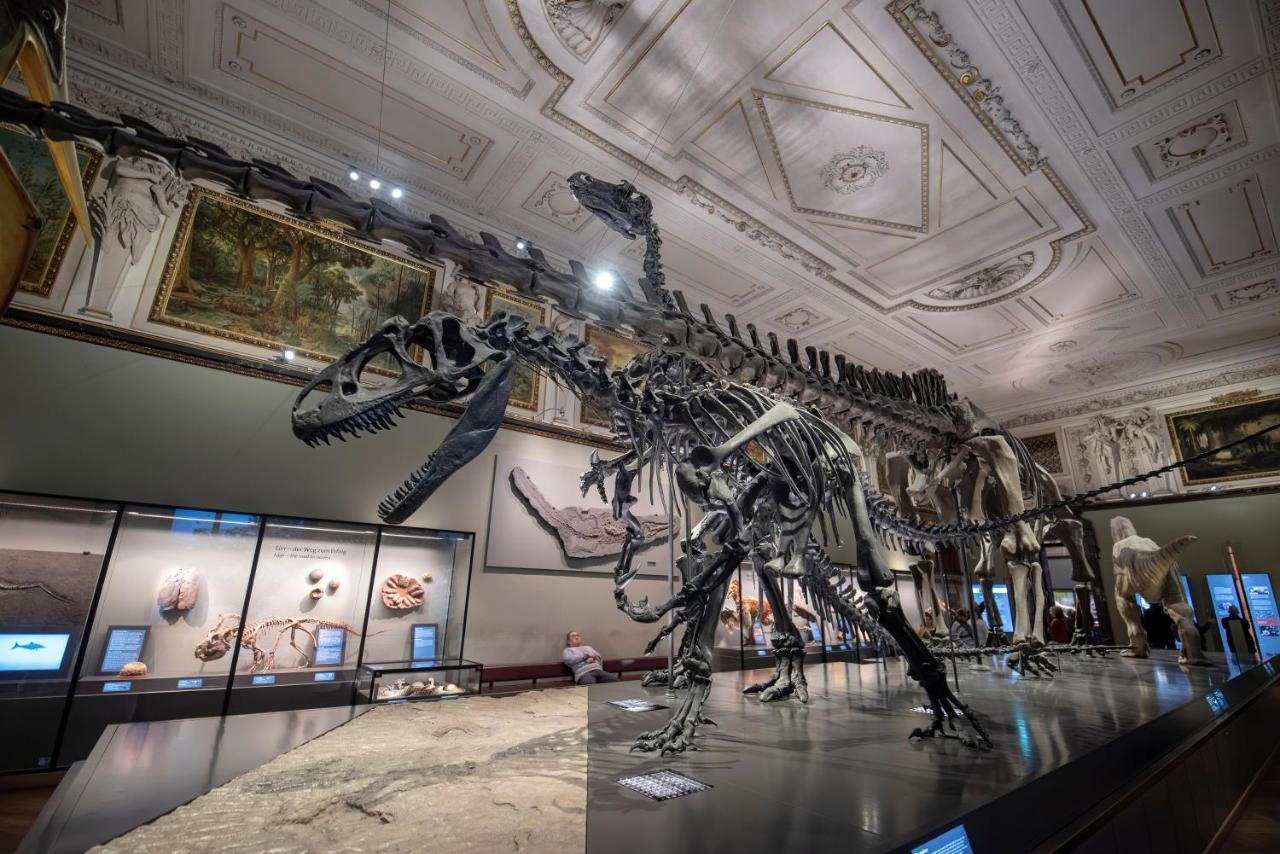 Grand Hotel Wien Esterno foto A mounted skeleton of the Late Cretaceous tyrannosaur Tyrannosaurus